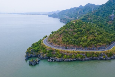 TCVN 14544:2025 tiêu chí và phương pháp xác định rừng vùng ven biển